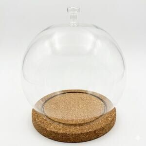 Glass Dome 8” Cloche With w/ Rose Flower Topper / Handle on Cork Base